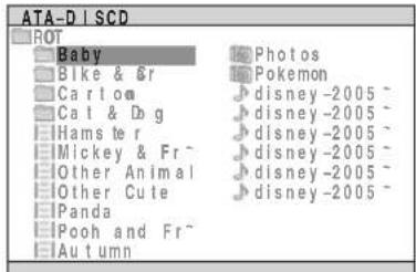PANASONIC SCPT150 - Lecture des disques de données - 8