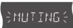 PANASONIC SCHT1000 - Appuyez sur [MUTING]. - 1
