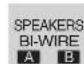 PANASONIC SAXR700 - Per selezionare "SPEAKERS A" - 2