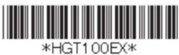 PANASONIC KXHGT100 - Copyright: - 1