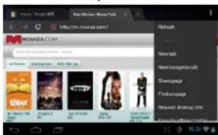 PRESTIGIO MultiReader PER5474BC - Ejecución del navegador web - 2