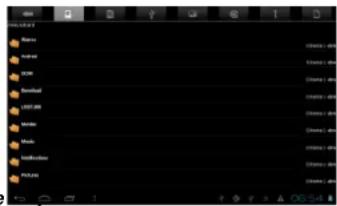 PRESTIGIO MultiReader PER5474BC - Usando o File Manager - 1