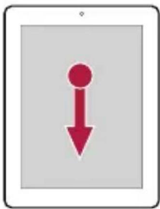 PRESTIGIO MultiPad 4 Quantum 9.7 - YnpabIeHne paIbIaMn - 4