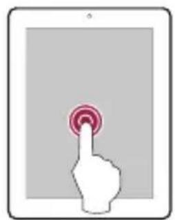 PRESTIGIO Multipad 4 Quantum 7.85 - Fingerspitzen - 2
