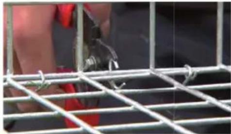 Giardino 5150515 - ATTACHE-MUR - 6