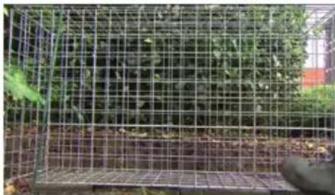 Giardino 5150337 - PIQUET EN T - 13