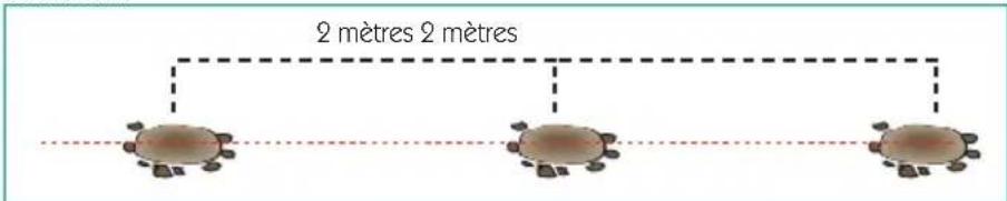 Giardino 9800100 - Préparation - 1