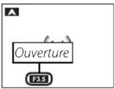 FUJIFILM FinePix HS28EXR - A : PRIORITE OUVERTURE - 2