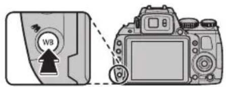 FUJIFILM FinePix HS35EXR - Balance des blancs - 1