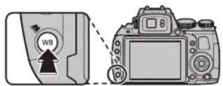 FUJIFILM FinePix HS35EXR - Recherche Photos - 1