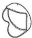 FUJIFILM FinePix HS35EXR - Accessoires fournis - 4