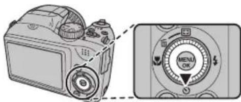 FUJIFILM FinePix S6600 - Reglez le retardateur. - 1