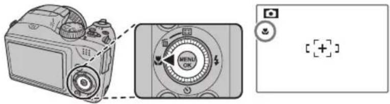 FUJIFILM FinePix S6600 - Modes Macro et Super Macro (gros plans) - 1