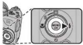 FUJIFILM FinePix S6600 - Choisissez un mode de fl ash. - 1