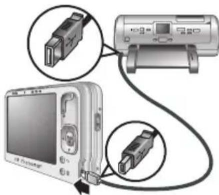 HP PhotoSmart R830 - Drucken von Bildern von der Kamera aus - 2