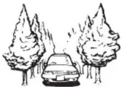 PIONEER AVICZ820DABC - Lors de la conduite à travers une forêt dense ou des arbres hauts - 1