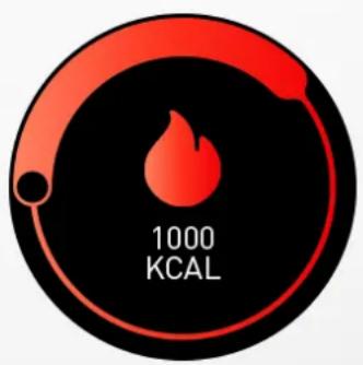 MYKRONOZ ZeSport 2 - I TRACKERS D'ACTIVITÉS - 5