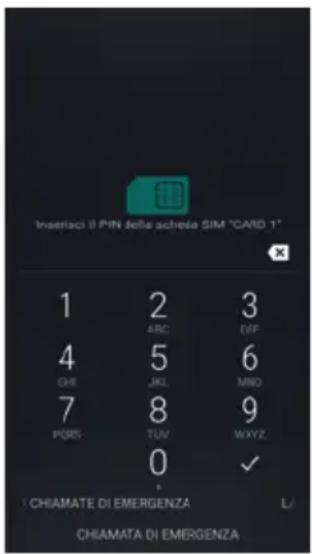 Amplicomms PowerTel M9500 - Inserire codice PIN - 1