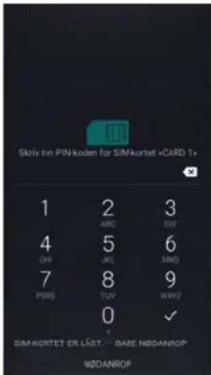 Amplicomms PowerTel M9500 - Skrivinn PIN-kode (avhengig av operatoren) - 1