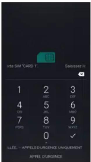 Amplicomms PowerTel M9500 - Saisir le PIN de la SIM - 1