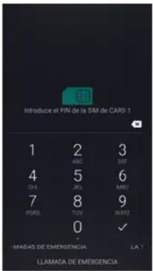 Amplicomms PowerTel M9500 - Introduzca el PIN de la tarjeta SIM - 1