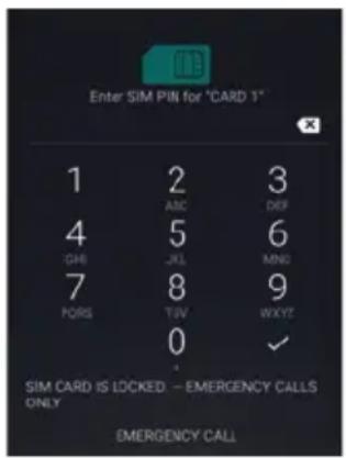 Amplicomms PowerTel M9500 - Enter SIM PIN - 1