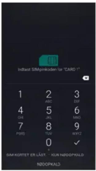 Amplicomms PowerTel M9500 - Indtast SIM-pinkoden (afhengig af din mobiludbyder) - 1