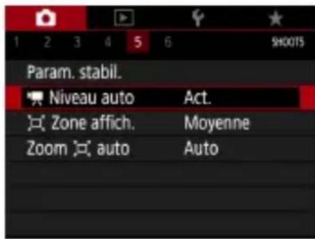 CANON PowerShot SX70 HS - Utilisation du Niveau auto - 2
