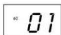 BUSHNELL Imageview 111025 - Pantalla LCD - 3