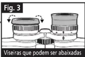 BUSHNELL Imageview 111210 - VISEIRAS (Figura 3) - 2