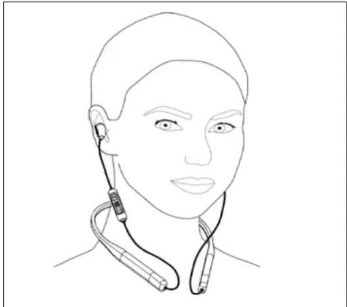 BEYERDYNAMIC Blue Byrd - ヤは木の交换と着用 - 1