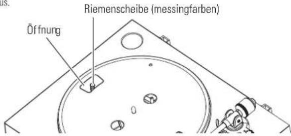 AUDIO TECHNICA ATLP3 - Austauschen des Riemens - 3