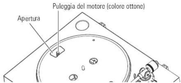 AUDIO TECHNICA ATLP3 - Sostituzione della cinghia - 3