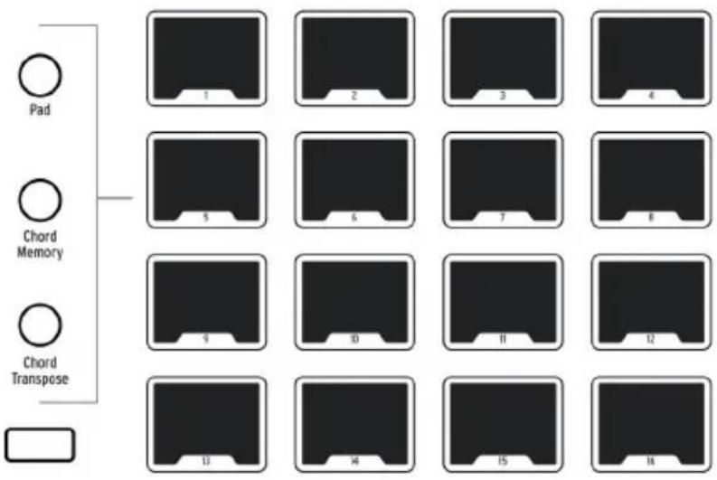 Arturia Keylab 88 MkII - Aperçu du mode Chord - 2