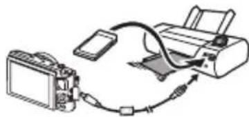 CASIO Exilim EX10 - 直接连接至PictBridge兼容打印机 - 1