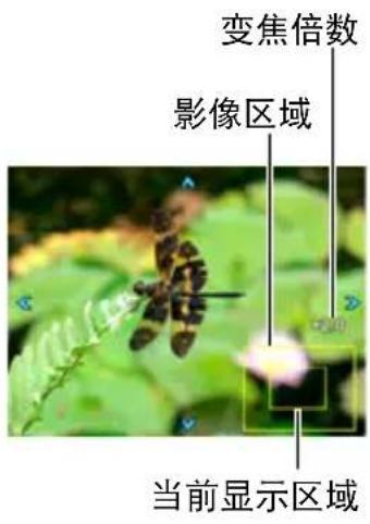 CASIO Exilim EX10 - 将变焦控制器转向[4]（Q）进行放大。 - 1