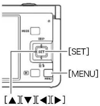 CASIO Exilim EXZR50 - 拍摄动画 - 2