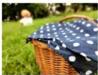 CASIO Exilim EXZR50 - 使用全焦点微距拍摄（全焦点微距） - 1