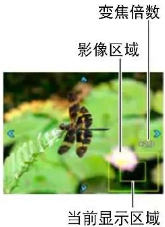 CASIO Exilim EXZR50 - 将变焦控制器转向[]（Q）进行放大。 - 1