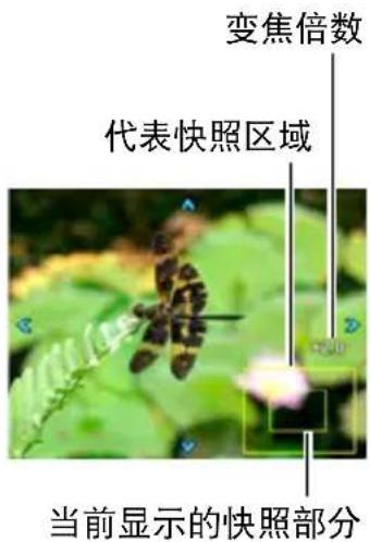CASIO Exilim EXZR500 - 步骤 - 1