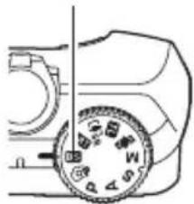 CASIO Exilim EXZR500 - 用BEST SHOT拍摄 - 1