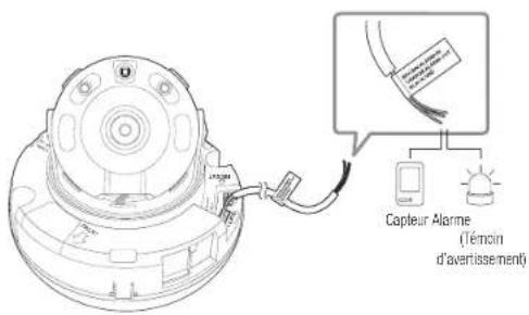 Hanwha QNO8080R - Connexion au boîtier du port E/S - 1