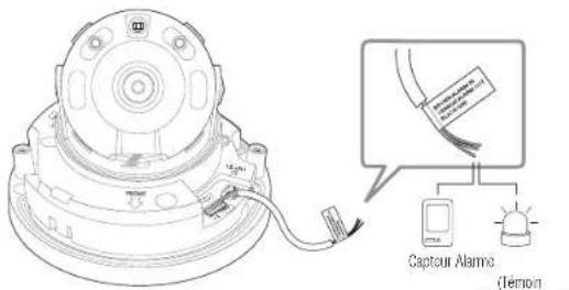 Hanwha QNO8080R - Connexion au boîtier du port E/S - 3