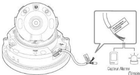 Hanwha QNO6082R - Connexion au boitier du port E/S - 4