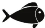 FOODSAVER FFS015X - Viandes et poissons - 2