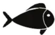 FOODSAVER FFS015X - Fleisch und Fisch - 2