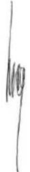 PowerPlus POWX00405 - INEPIBAMON - 2