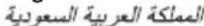 BOSCH BGS7PERF5 - SA Kingdom Saudi Arabia, - 1