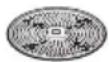 BOSCH MUM58227 - Rivskiva – medelfin - 1
