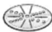 BOSCH MUM58227 - Wende-Raspelscheibe – grob / fein - 1